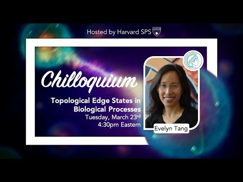 Topological Edge States in Biological Processes – Prof. Evelyn Tang | Harvard SPS Chilloquium