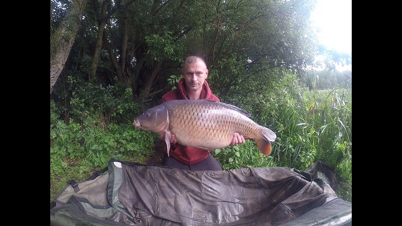 32lb common, Raw Go Pro Footage