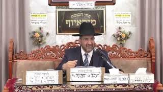 הרב אייל שרגא | מי שנכנס אדר מרבים בשמחה | מוסאיוף (בית הכנסת מוסאיוף - ערוץ חדש) - התמונה מוצגת ישירות מתוך אתר האינטרנט יוטיוב. זכויות היוצרים בתמונה שייכות ליוצרה. קישור קרדיט למקור התוכן נמצא בתוך דף הסרטון