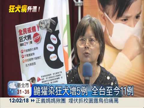 新增17疑似病例 確診5鼬獾染狂犬