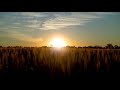 Great Farmers Agricultural Television Commercial