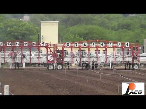 DON RULO HIPODROMO DON SOHAR CRUZ DEL EJE 17 12 2022