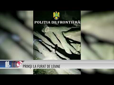 Prinși la furat de lemne
