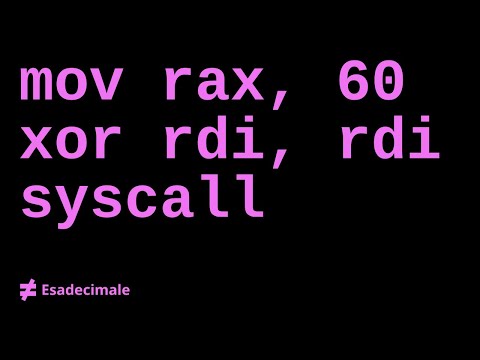 Programmazione Assembly (x86 e x86-64)