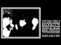 Vivian Girls - Walking Alone At Night (Death By Audio 2009)