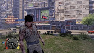 Sleeping Dogs: Definitive Edition DRUNKEN FIST
