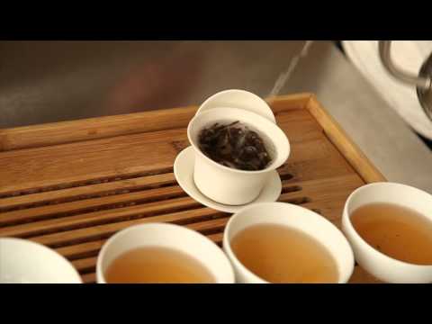 Breville -- Tea Patience