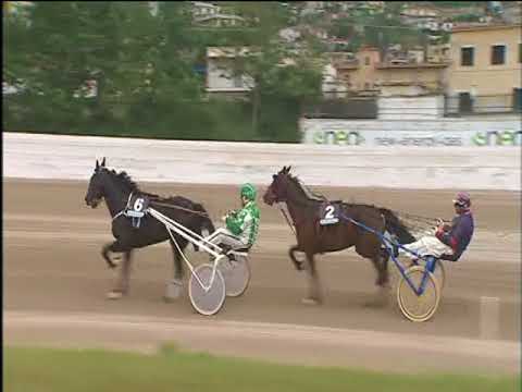 Trotto 04/05/2018 - 4ª corsa