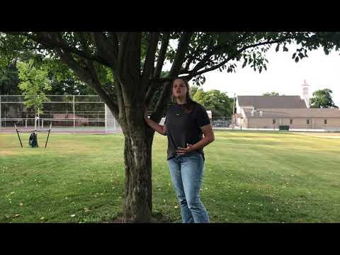 2018-19 PC FFA Chapter Theme