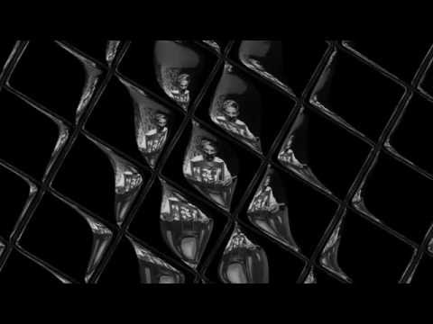 Negustoru'(HHDV)- INTERZISTOTU'