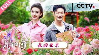 【Full】从5月一直绵延至深秋，北京环城道路上的“月季项链”，名叫“约定” | CCTV「花开中国」20260802
