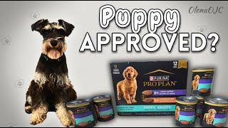Pet-Test: How I Use Purina Pro Plan Puppy as a Kibble Topper