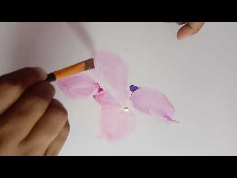 Light Pink + Red + Navi Blue + White