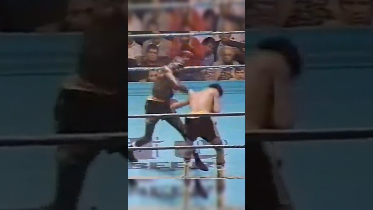 Video 1