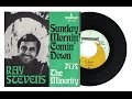 Ray STEVENS ---  The minority