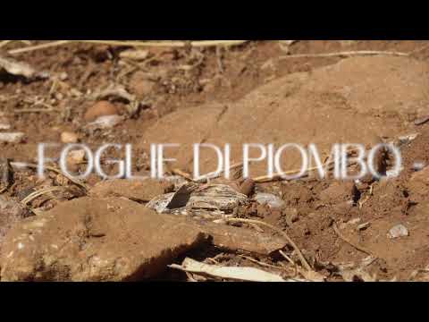 video frame placeholder