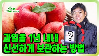 사과를 1년 내내 먹을수 있는 이유 ㅣ 에틸렌 가스 ㅣ 과일 저장 방법