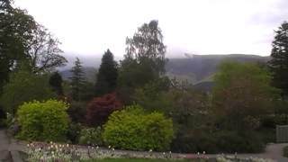 Round - I like the flowers