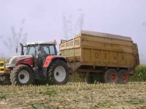 loonwerker De Clercq P. Oosterzele