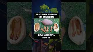 Download lagu Story Wa 30 Detik Kekinian || Story Wa Meme || Status Wa Viral Terbaru 2022   #shorts #storywa #meme mp3