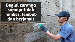 cegah rembes tembok luar #tips #renovation #education #shorts ##rumah