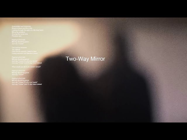 Two way mirror