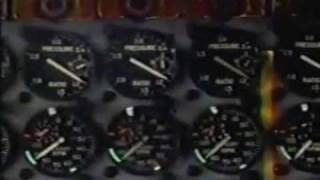 The Melvins See How Pretty, See How Smart