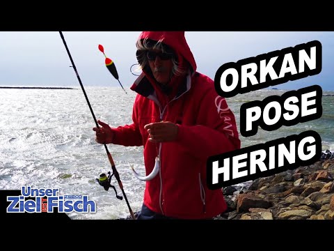 THICK NORTH SEA HERRINGS with the FLOAT - Our goal is fish - FISHING SCHOOL with JÖRG OVENS