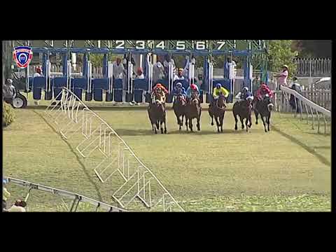 RM26 R5 | Perplexing Is King | O.Plaçais