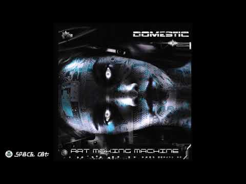 Space Cat & Domestic   Somthing In Mind