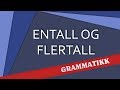 Norsk språk - Entall og Flertall/Singular and plural