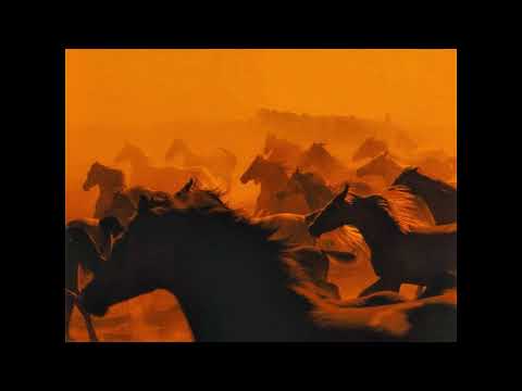 DRAGANOV X TIF X HAMZA X ZAMDANE TYPE BEAT " وني بيك "