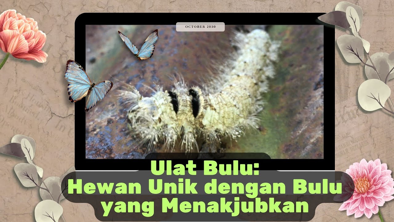 Fakta Menarik tentang Ulat Bulu dan Cara Mereka Bertahan Hidup