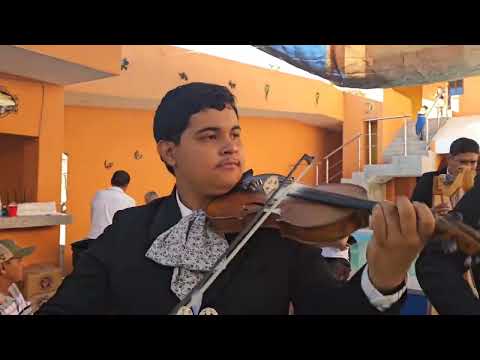 Video de MARIACHI IMPERIAL DEL GRULLO