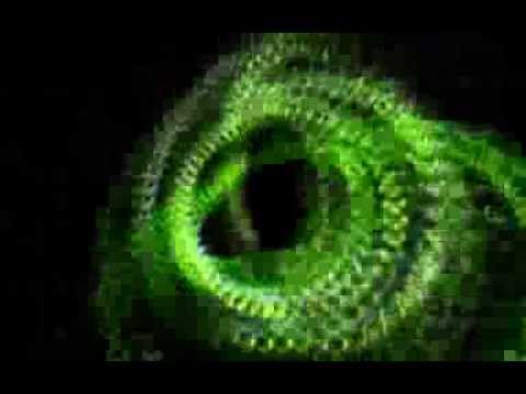 The xQlusiv - Alarma Clarity (Zedd, Foxes, Tiesto vs  Dimitri Vegas, Like Mike, Promise Land)