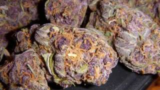 Behind Crimson Eyes - Game of Life