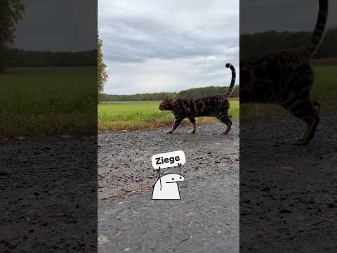 Mein Herz ist wieder da.. 🤎