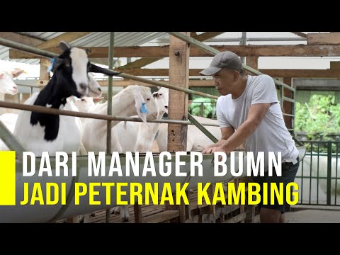 , title : 'Tinggalkan Jabatan Manager di BUMN Demi Ternak Kambing'