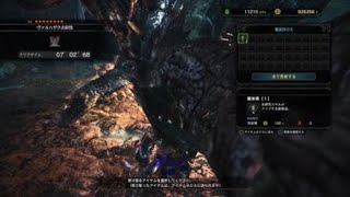 暇潰し　ヴァルハザクを狩ってきた