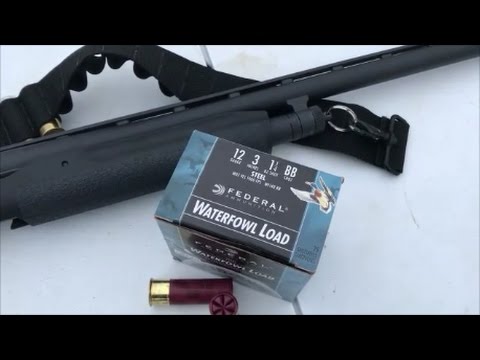 12 Gauge Federal BB Speed Shok review