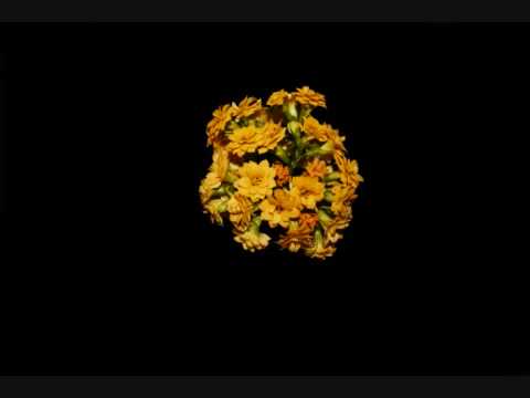 Colin Rudd  - Gentle Bluebird (with Eleri Davies)