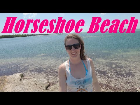 Diving Horseshoe Beach | Big Pine Key, Florida Keys