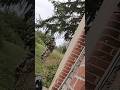 AIRSOFT DOUBLE ATTACK Airsoft