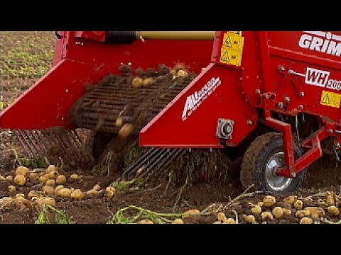 , title : 'Maquinaria agrícola y jornaleros en la recolección de patatas'