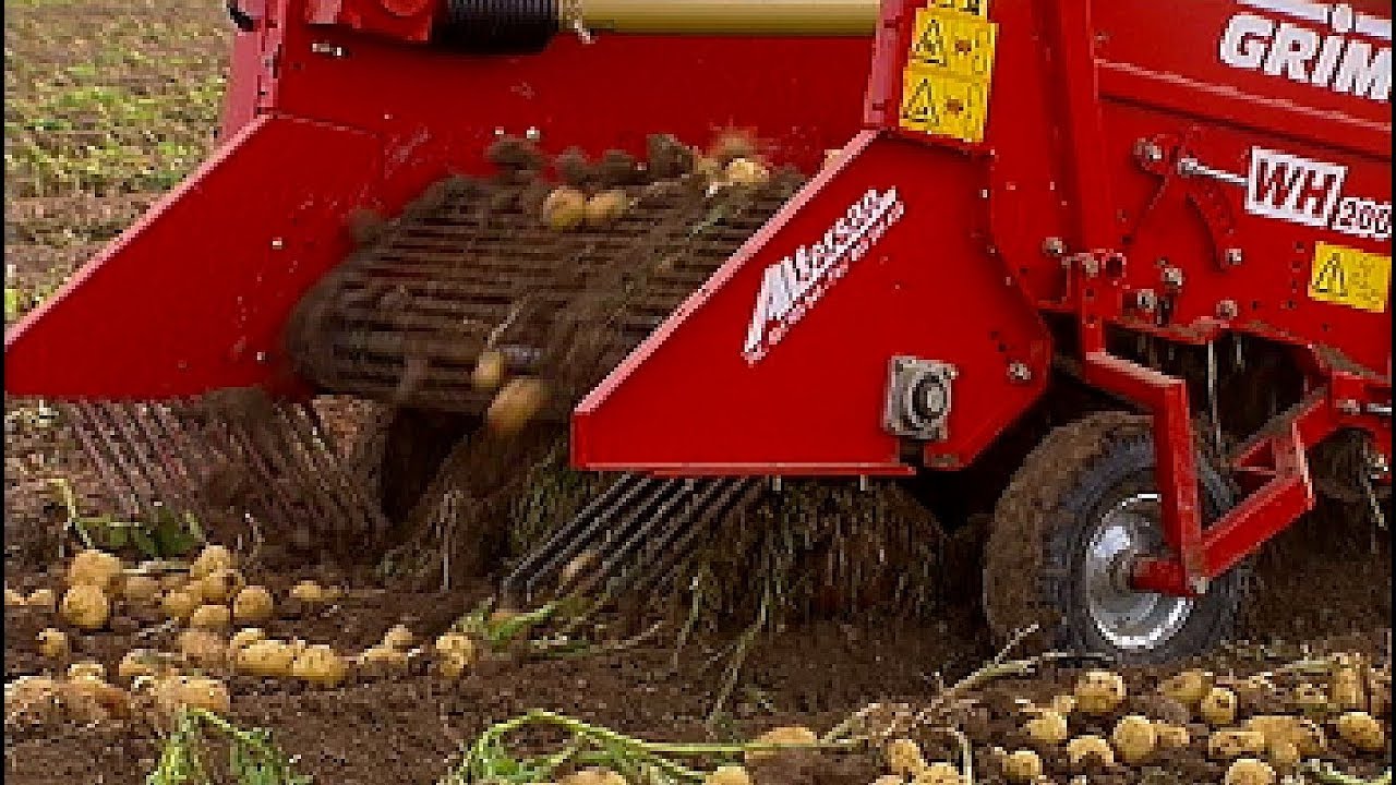 Maquinaria agrícola y jornaleros en la recolección de patatas