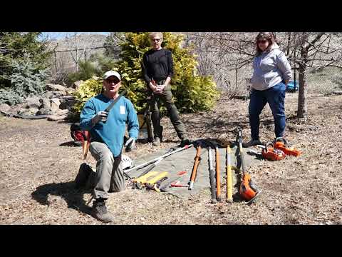 Pruning with the Pros - Tools of the Trade