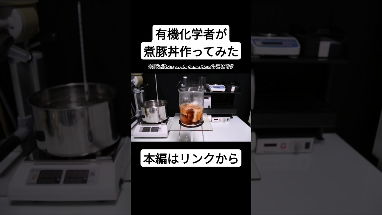 有機化学者が煮豚丼作ってみた　#有機化学　#実験　#料理