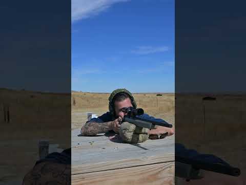 Springfield Armory 22 LR Rifle?  Model 2020 Rimfire Classic