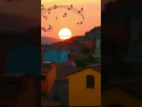 Alegria da Favela