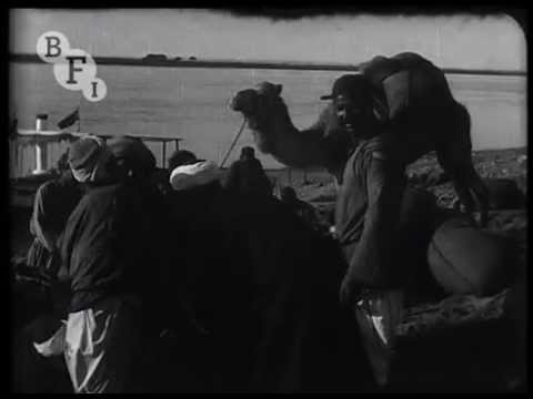 Tut-ankh Amen's Tomb (Daily Sketch Topical Budget 600-1)